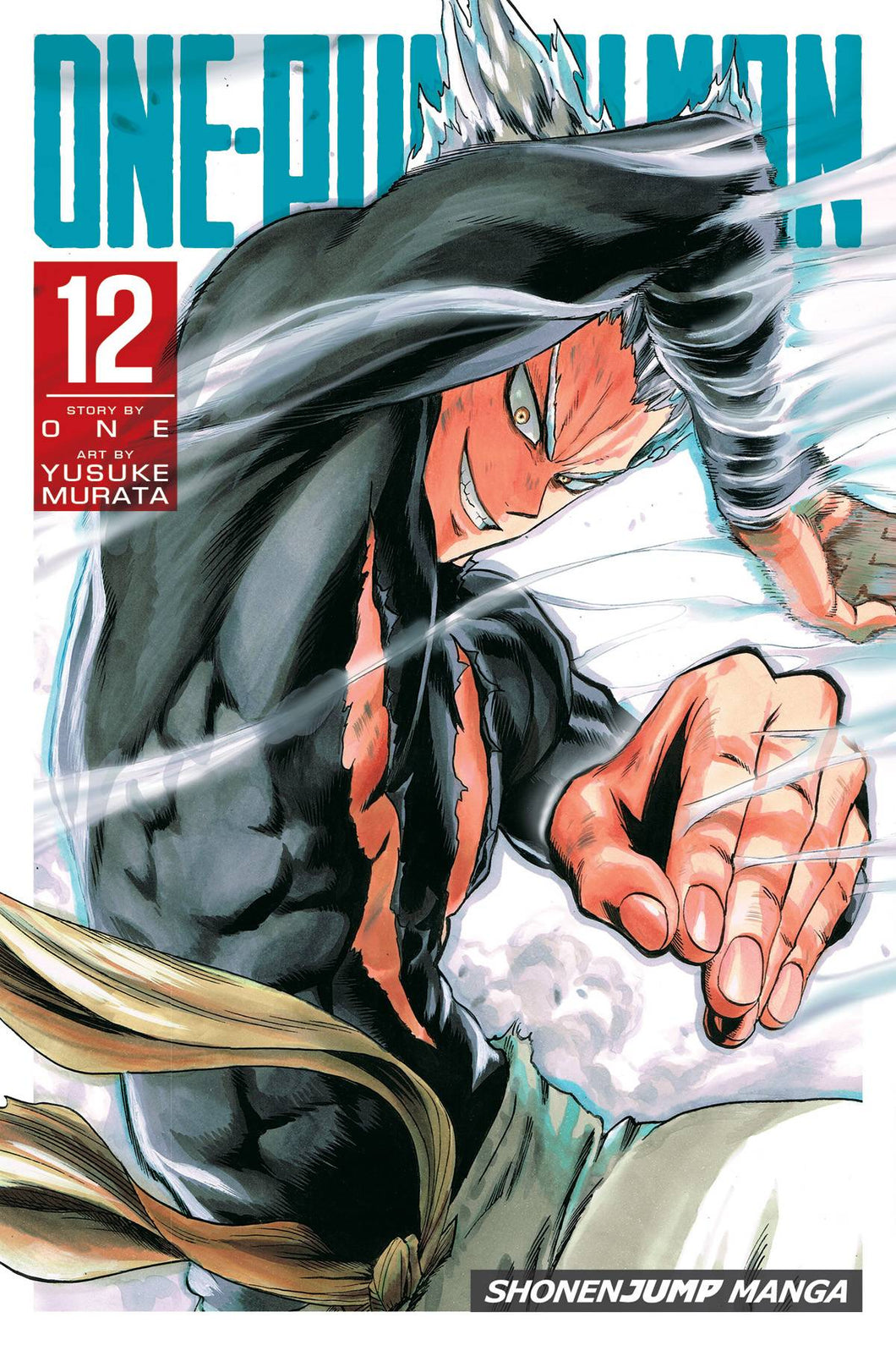 ONE PUNCH MAN GN VOL 12 (C: 1-0-1)